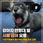 강아지 연령대 별
사료 급여 요령