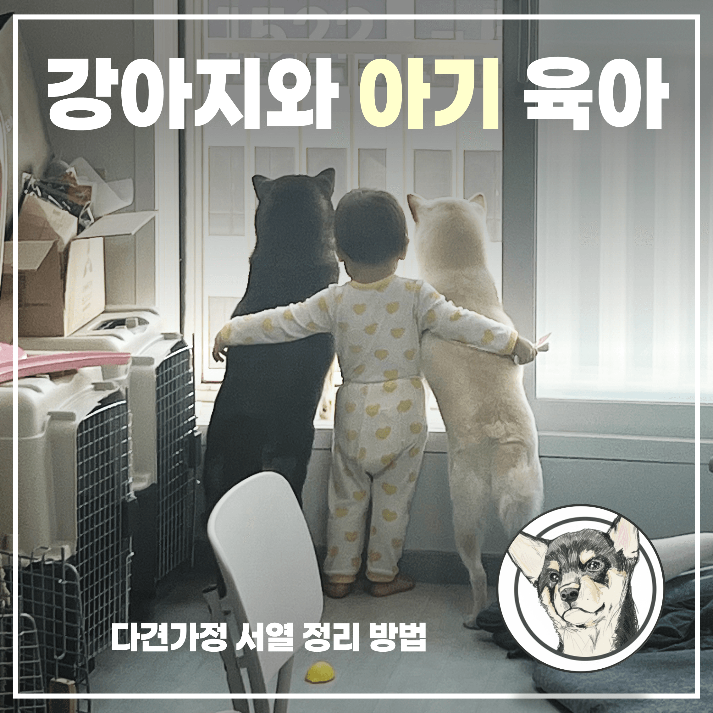 강아지와 아기 육아