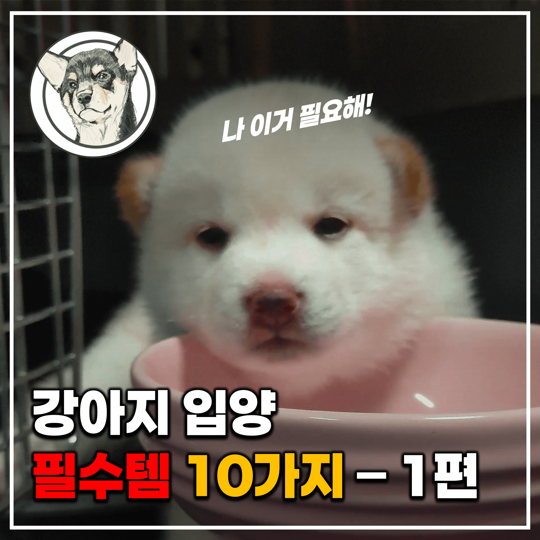 강아지 입양 필수템 10가지 - 켄넬 사료그릇 목줄 하네스 등
