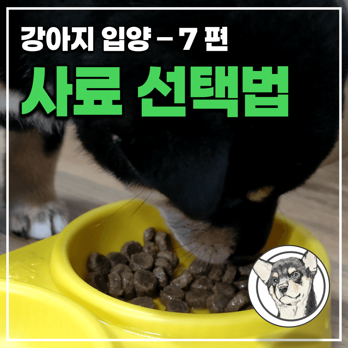 “어떤 사료가 정답일까?” 영양학 논문으로 본 강아지 사료 선택과 급여 전략